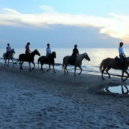 Zaciszny Z Ogrodem Nad Morzem Prázdninový dům Rowy (Pomerania)