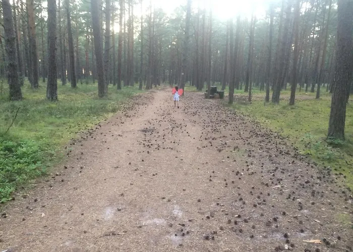Zaciszny Z Ogrodem Nad Morzem Prázdninový dům
