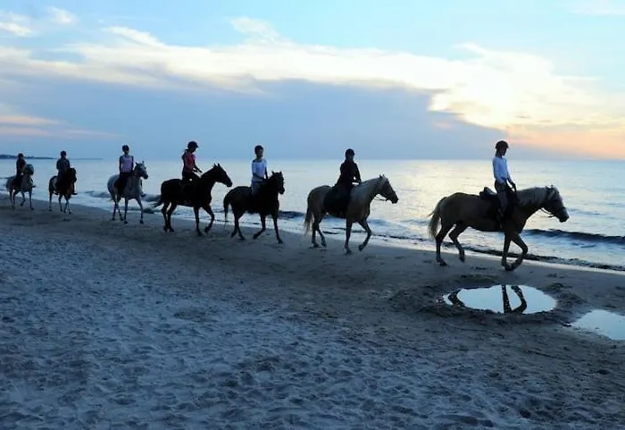 Zaciszny Z Ogrodem Nad Morzem Prázdninový dům Rowy (Pomerania)